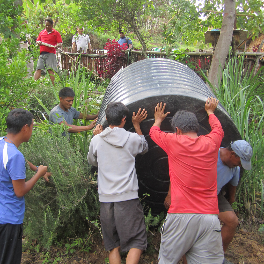 Learning and sharing